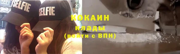 бошки Белокуриха