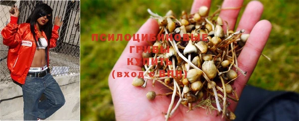 соль курить ск Беломорск