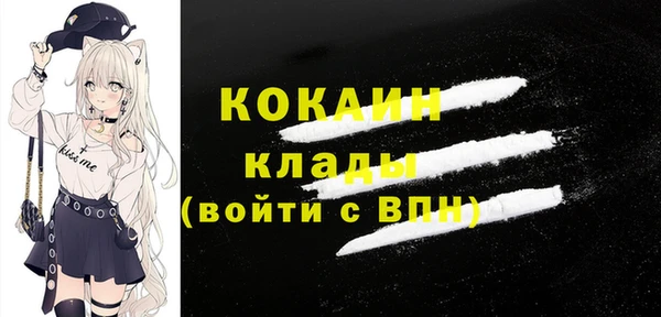 бошки Белокуриха