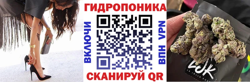 Бошки Шишки планчик Купить где Аркадак